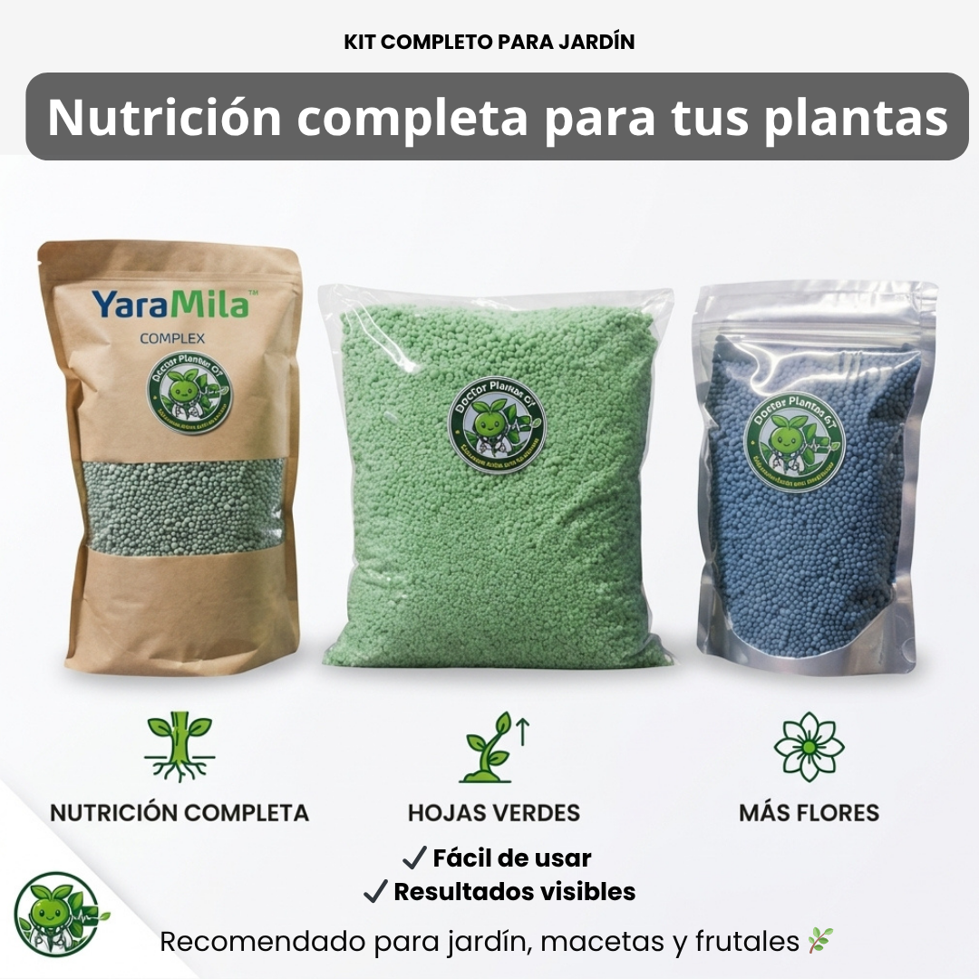 Imagen anuncio