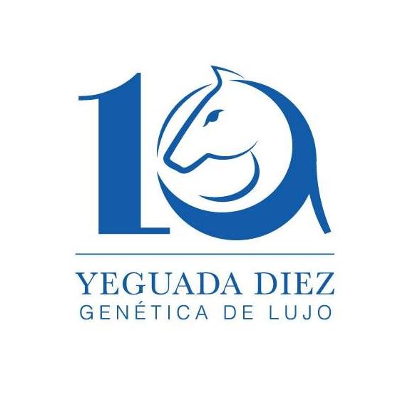 yeguadadiezsomoscaes